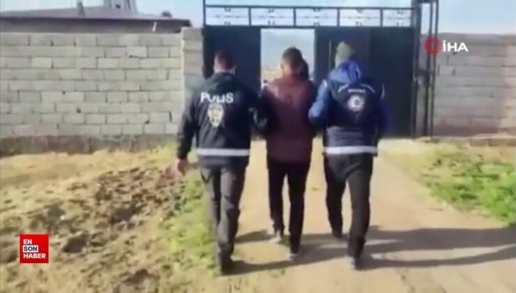 Ali Yerlikaya: 42 organizatör ve 433 düzensiz göçmen yakalandı