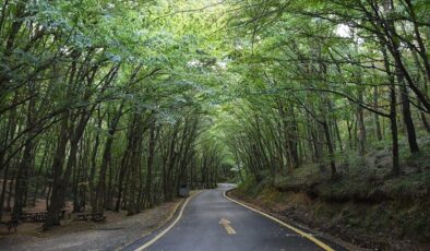 Antalya’da 1 Mayıs’ta ormanlara giriş yasağı başlıyor