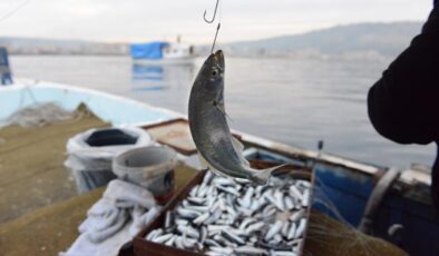 Av sezonu kapalıyken soframıza gelecek balıklar