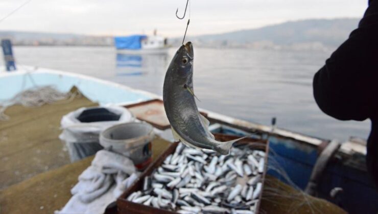 Av sezonu kapalıyken soframıza gelecek balıklar