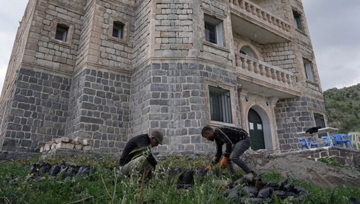 Avrupalı Keldaniler, Cudi eteklerindeki köylerine geri dönüyor