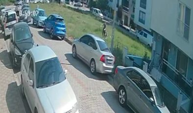 Aydın’da başıboş köpek tehlikesi: Mahalle sakinleri kaygılı