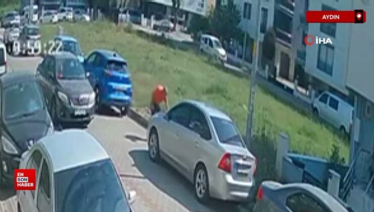 Aydın’da mahalle sakinleri başıboş köpeklerden huzursuz