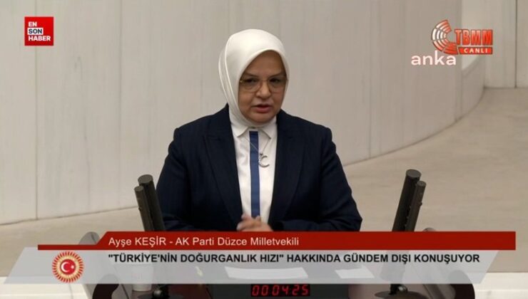 Ayşe Keşir: Türkiye’de doğurganlık suratı kritik eşiğin altında
