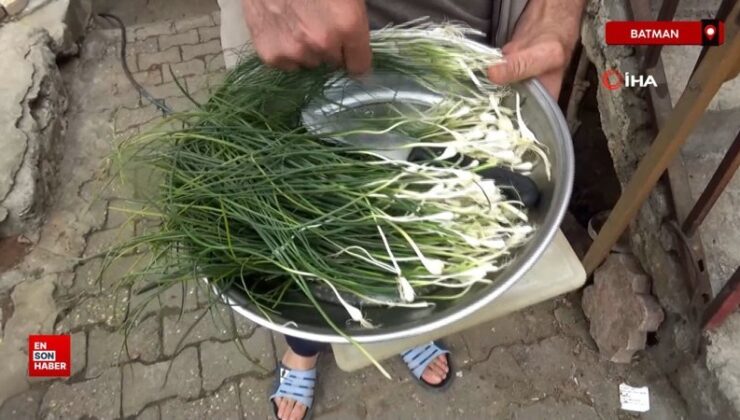 Batman’da dağdan toplanıyor, kilosu 10 bin TL’ye satılıyor