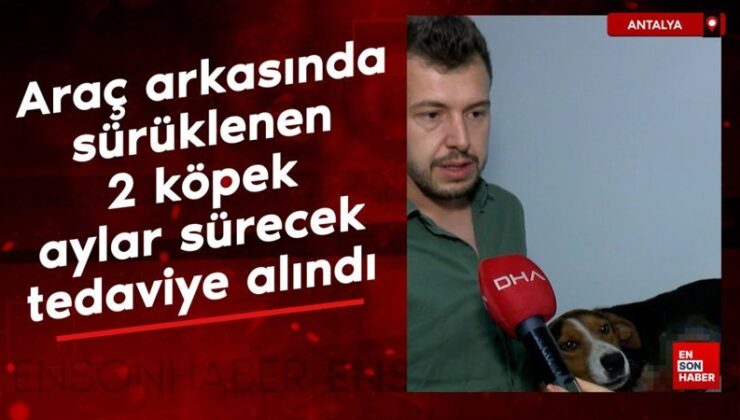 Burdur’da araç arkasında sürüklenen 2 köpek Antalya’da tedaviye alındı