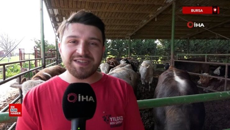 Bursa’da kurbanlık fiyatlarında geçen yıla oranla büyük değişiklik yok