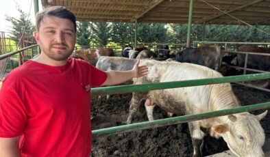 Bursa’da kurbanlık fiyatlarında geçen yıla oranla büyük değişiklik yok