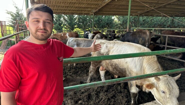 Bursa’da kurbanlık fiyatlarında geçen yıla oranla büyük değişiklik yok