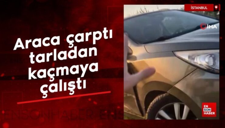 Büyükçekmece’de araca çarpan sürücü tarladan kaçmaya çalıştı