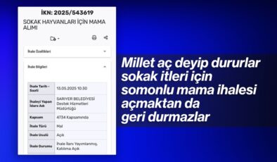 CHP’li Sarıyer Belediyesi’nden başıboş köpekler için ‘somonlu mama’ ihalesi