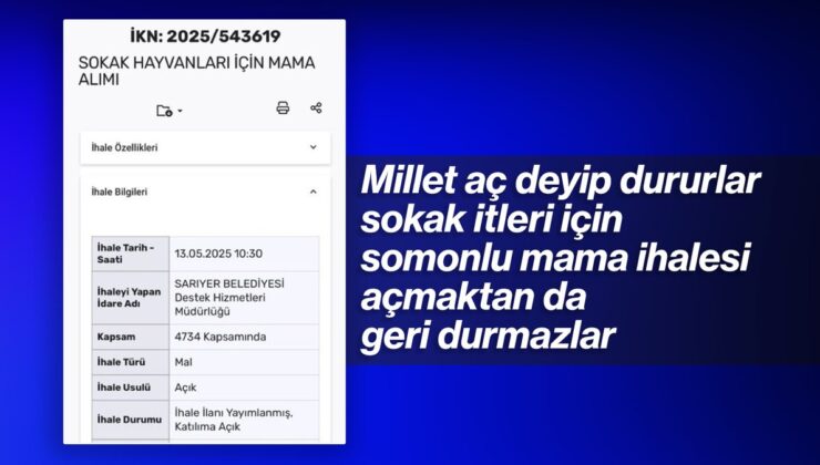 CHP’li Sarıyer Belediyesi’nden başıboş köpekler için ‘somonlu mama’ ihalesi