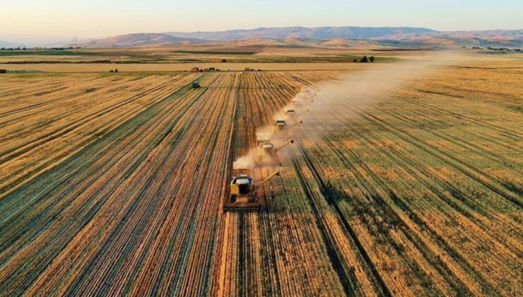 Çiftçilere 6,7 milyar lira destek ödemesi yapılıyor