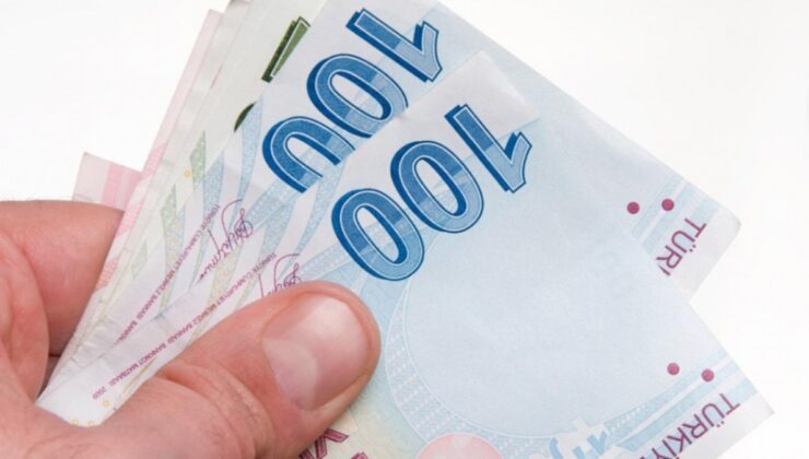 Doğum destek ödemeleri mayısta hesaplara yatıyor