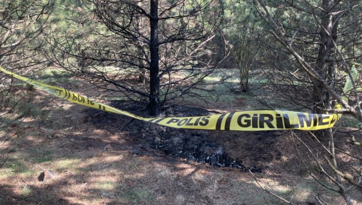 Eskişehir’de kaybolan genç kadın ormanda yakılarak öldürüldü