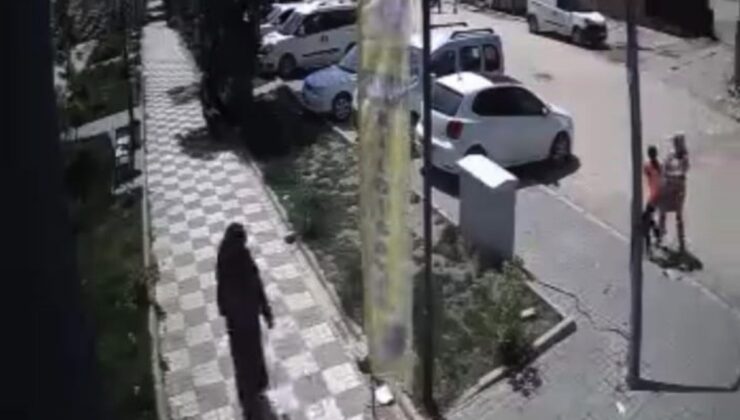 Gaziantep’te sokak köpekleri, anne ile kızına saldırdı