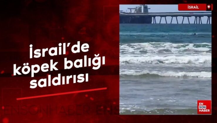 İsrail’de köpek balığının saldırdığı kişi hayatını kaybetti