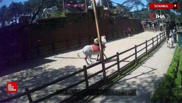 İstanbul’da Çekmeköy Hayvanat Bahçesi’ndeki hayvanlar depremi böyle hissetti