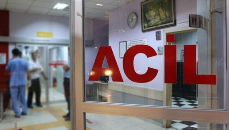 İstanbul’da devlet hastanesinde cinsel istismar tezine inceleme