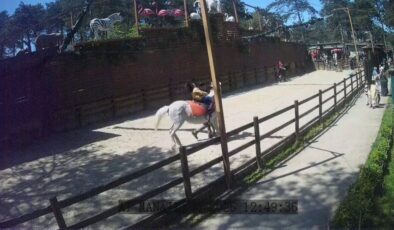 İstanbul’da hayvanat bahçesinde deprem anları