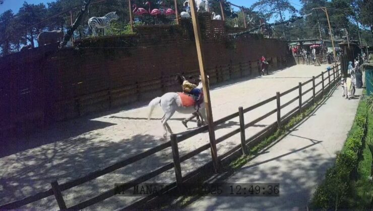 İstanbul’da hayvanat bahçesinde deprem anları
