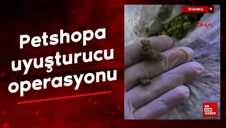 İstanbul’da petshopa uyuşturucu operasyonu