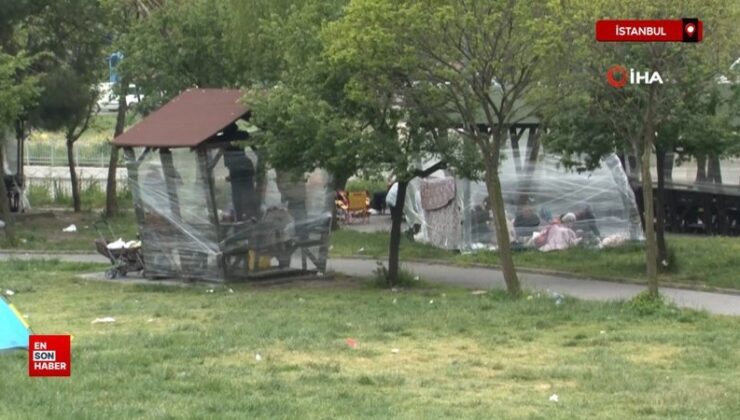 İstanbul’da soğuktan korunmak için bankları ve ağaçları streçle sardılar