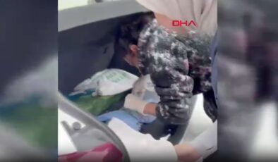 İstanbul’da veteriner depreme ameliyatta yakalandı