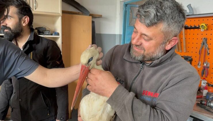 Karabük’te bitkin haldeki leyleğe oto kaporta ustası sahip çıktı