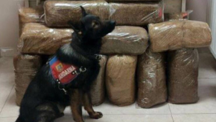 Kayseri’de yolcu otobüsünde kaçak tütün ele geçirildi