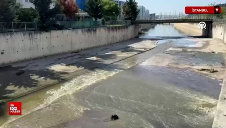 Küçükçekmece’de atık suların karıştığı dereden yayılan kötü koku