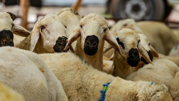 Kurban Hizmetlerinin Uygulanmasına Dair Bildirim, Resmi Gazete’de