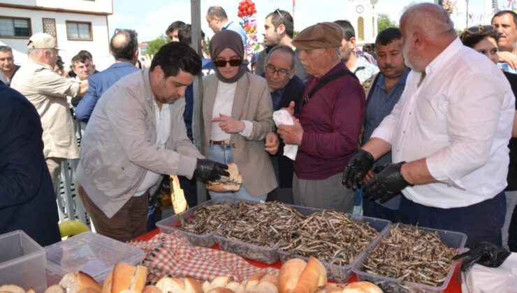 Manisa’da Hamsi Festivali düzenlendi