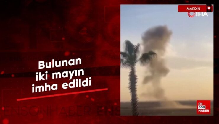 Mardin’de bulunan iki mayın imha edildi