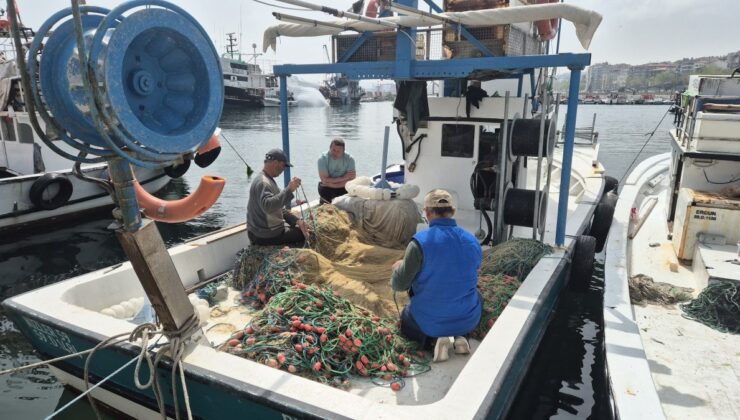 Marmara Denizi’nde müsilaj: Balık etine zarar veriyor mu?