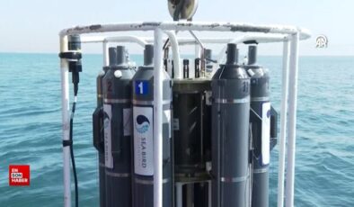 Marmara Denizi’nde müsilajın son durumu yerinde incelendi