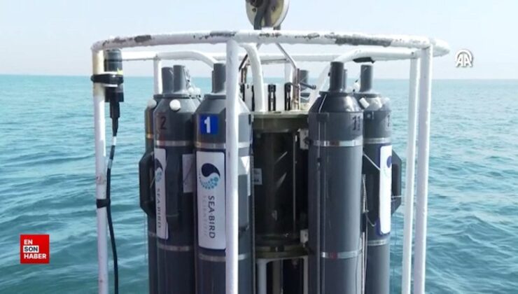 Marmara Denizi’nde müsilajın son durumu yerinde incelendi