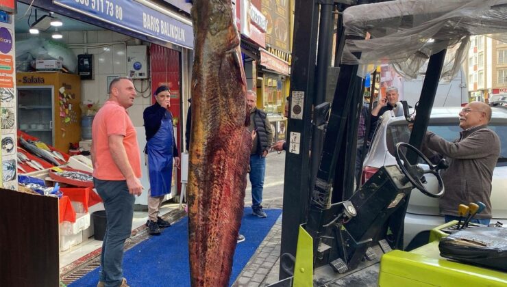Meriç Nehri’nde 3 metrelik yayın yakaladı: 150 kilo ağırlığında