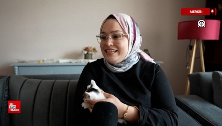 Mersin’de camide doğan yavru kediler büyüyor