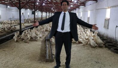 Mısır’dan geldi, Kütahya’da Pekin ördeği çiftliği kurdu