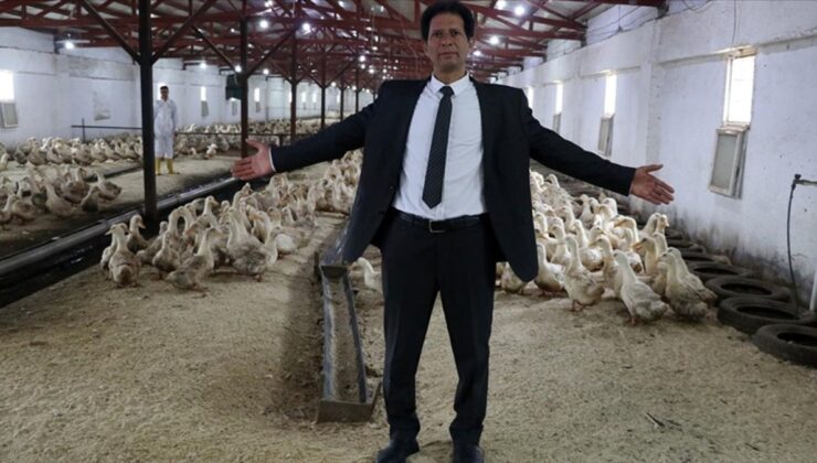 Mısır’dan geldi, Kütahya’da Pekin ördeği çiftliği kurdu
