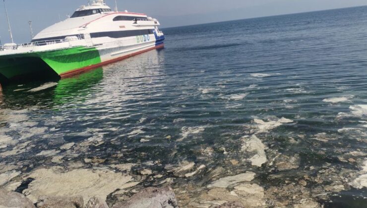Mudanya kıyılarında yeniden müsilaj alarmı