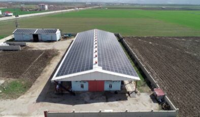 Muş’ta enerji ve et üretimi harmanlanan çiftlik