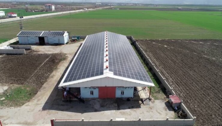 Muş’ta enerji ve et üretimi harmanlanan çiftlik