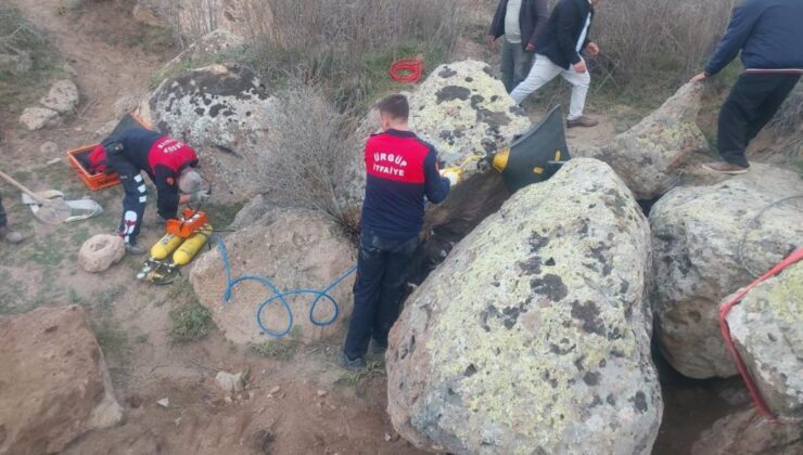 Nevşehir’de kayaların arasına sıkışan tosun kurtarıldı