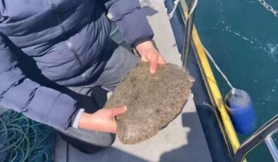 Ordu’da yasağa rağmen avlanmaya devam eden balıkçıların ağlarına el konuldu