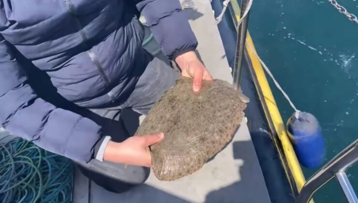 Ordu’da yasağa rağmen avlanmaya devam eden balıkçıların ağlarına el konuldu