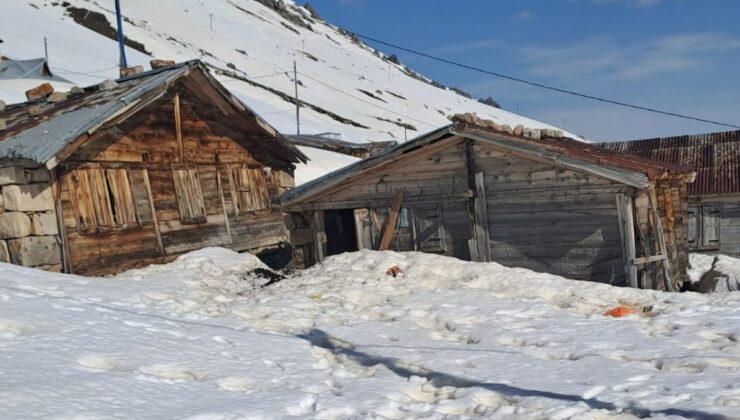 Rize’de kış uykusundan uyanan ayılar evlere zarar verdi