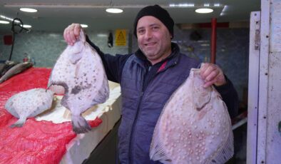 Samsunlu balıkçılar havaların soğuk gitmesinden memnun