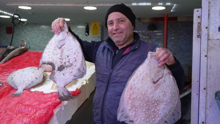 Samsunlu balıkçılar havaların soğuk gitmesinden memnun